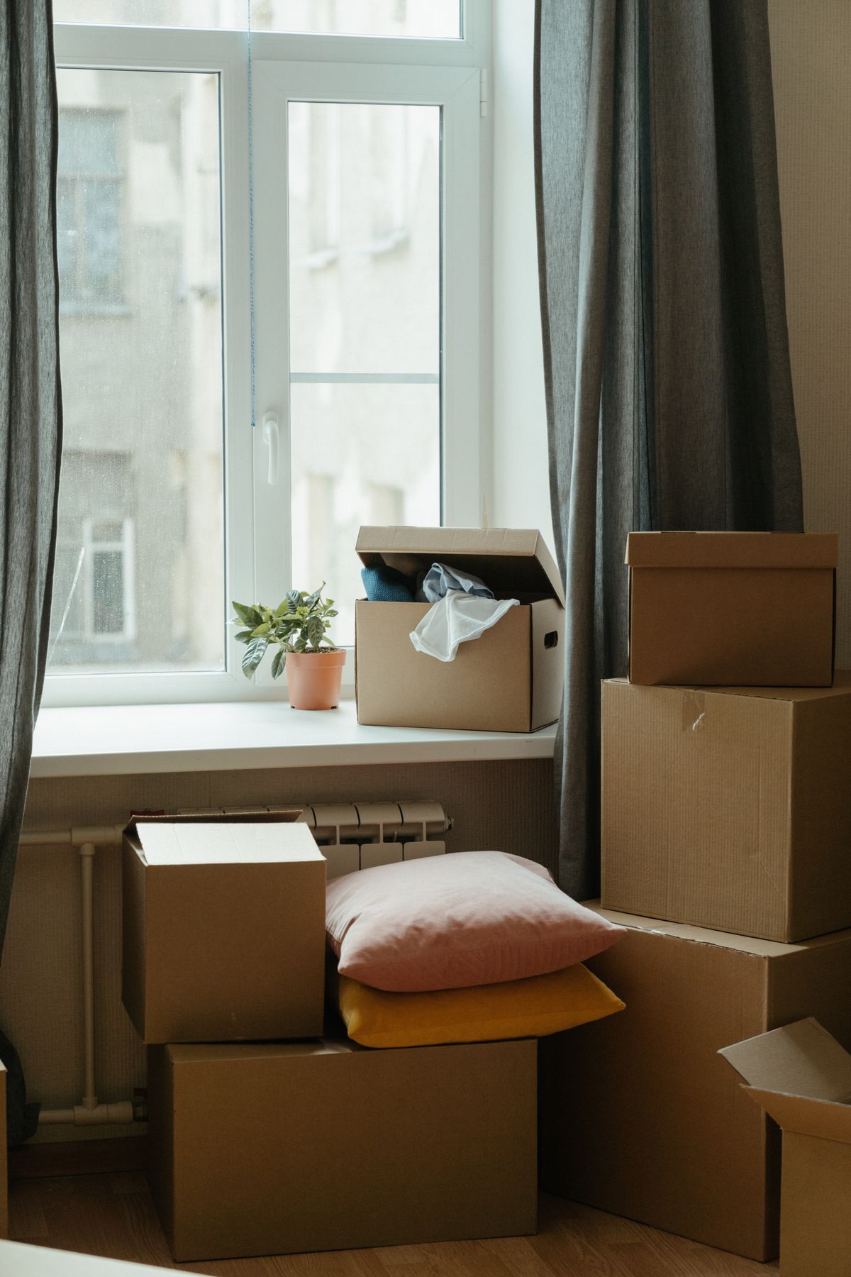Move-in and move-out cleaning